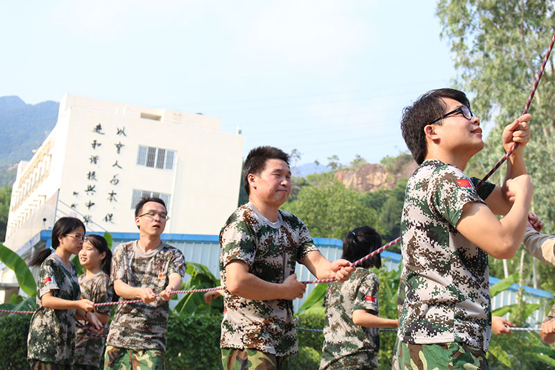 维多利亚老品牌vic(集团)官方网站